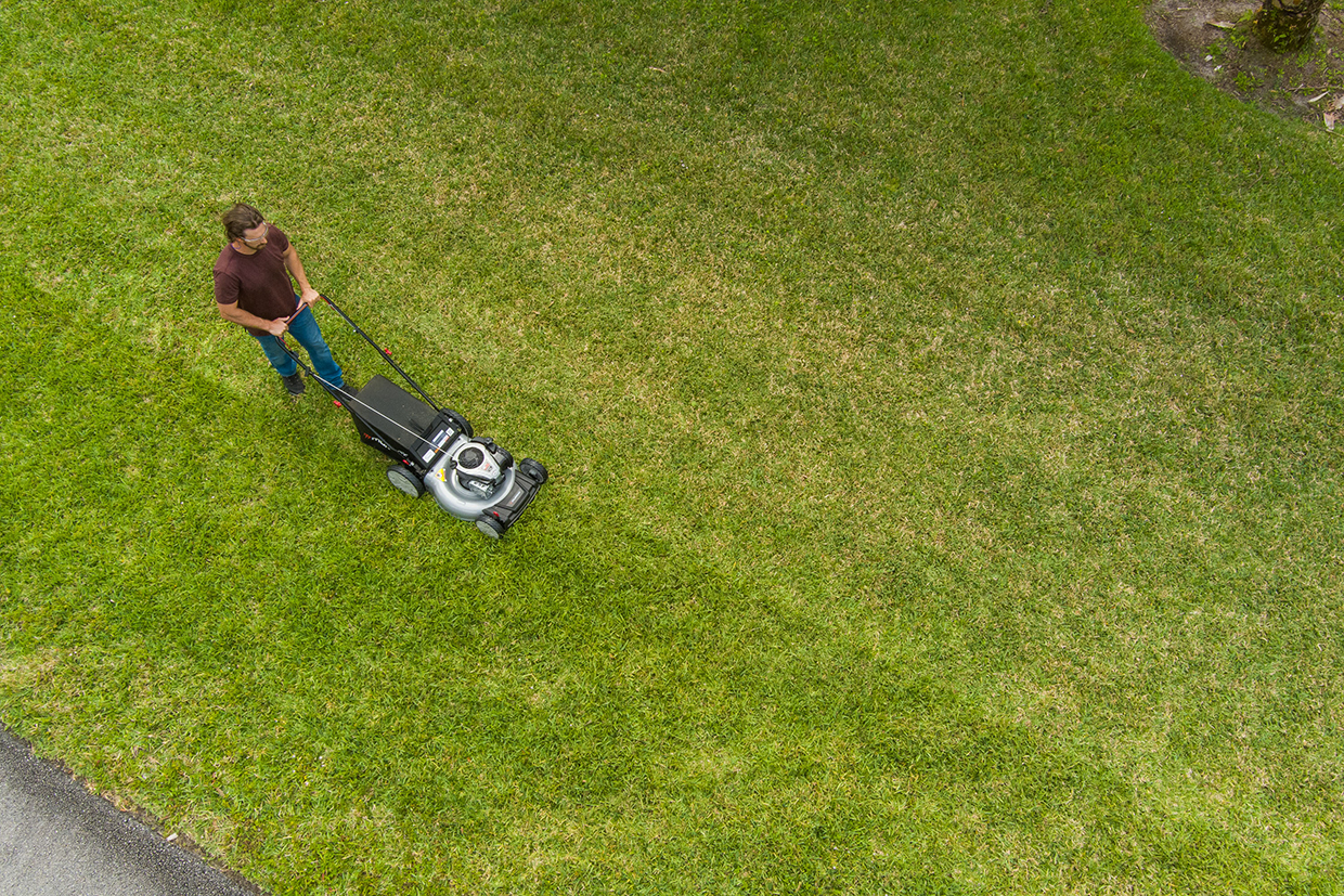 Person mowing lawn with Murray self-propelled mower
