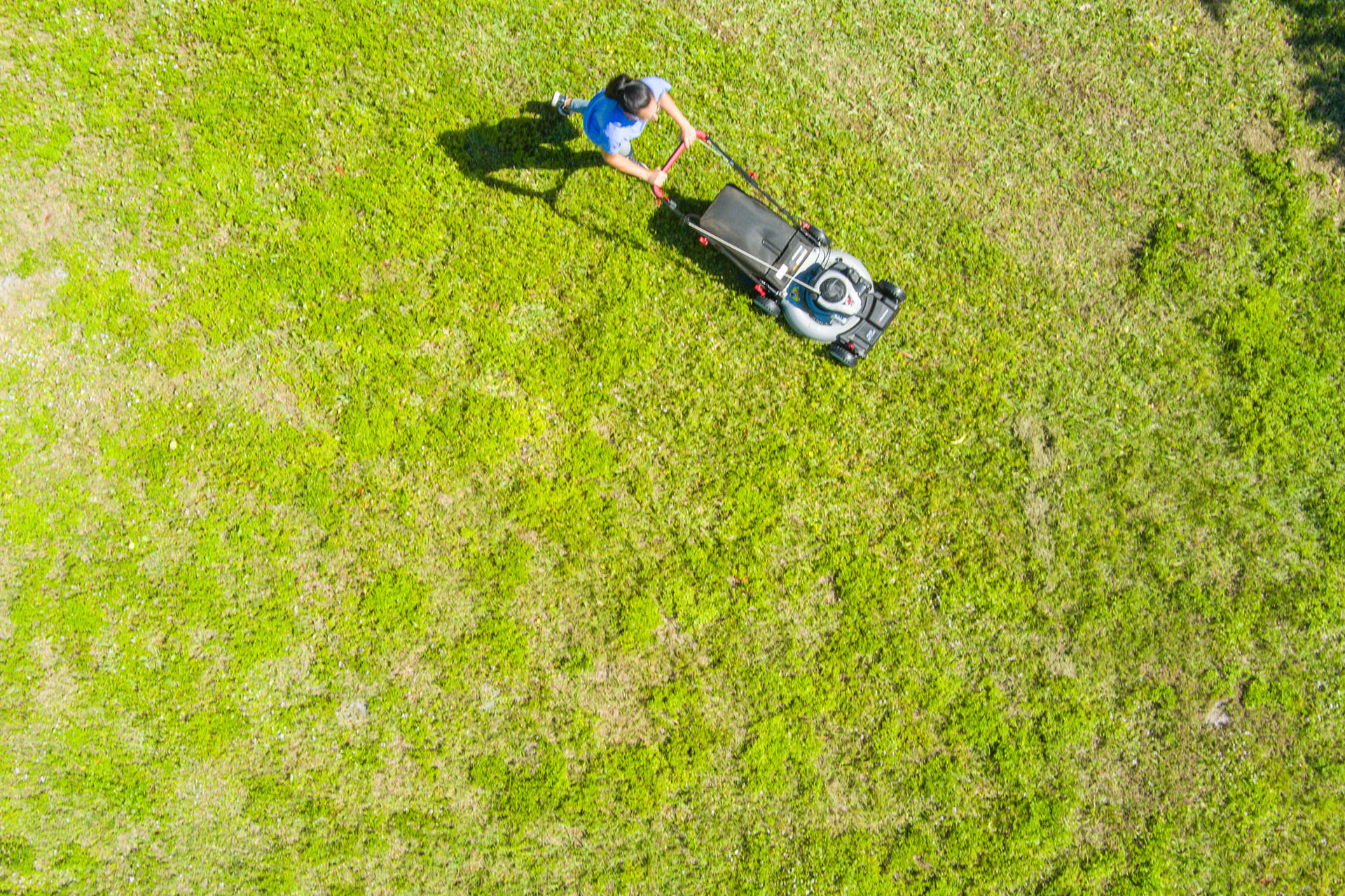 aerial shot of Murray mower