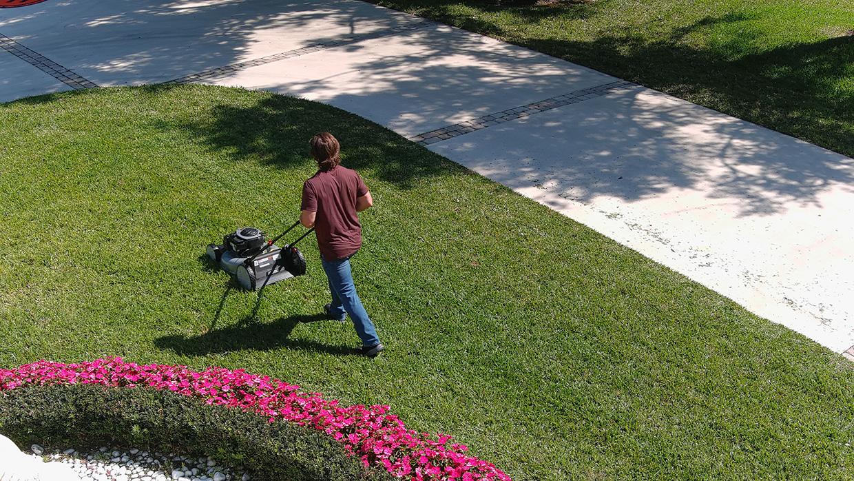 Murray lawn mower in a yard