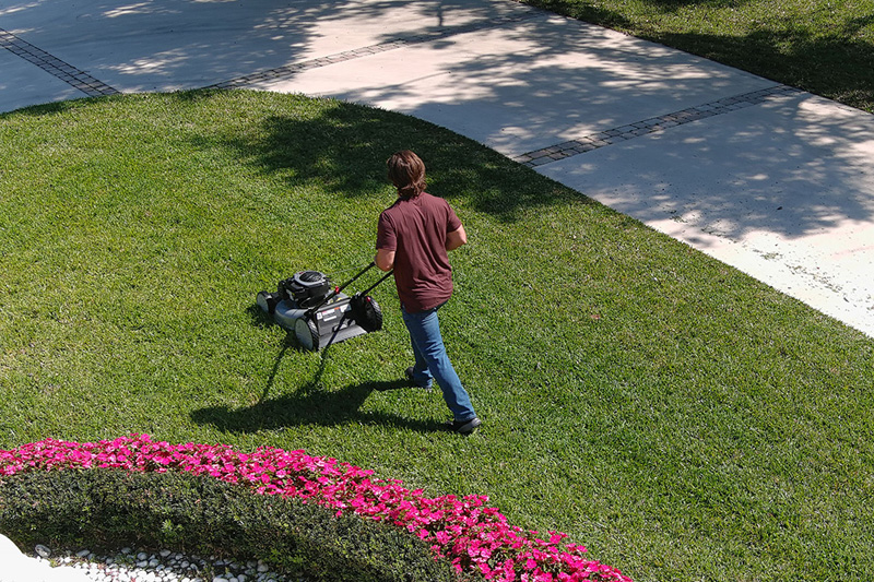 Murray lawn mower in a yard