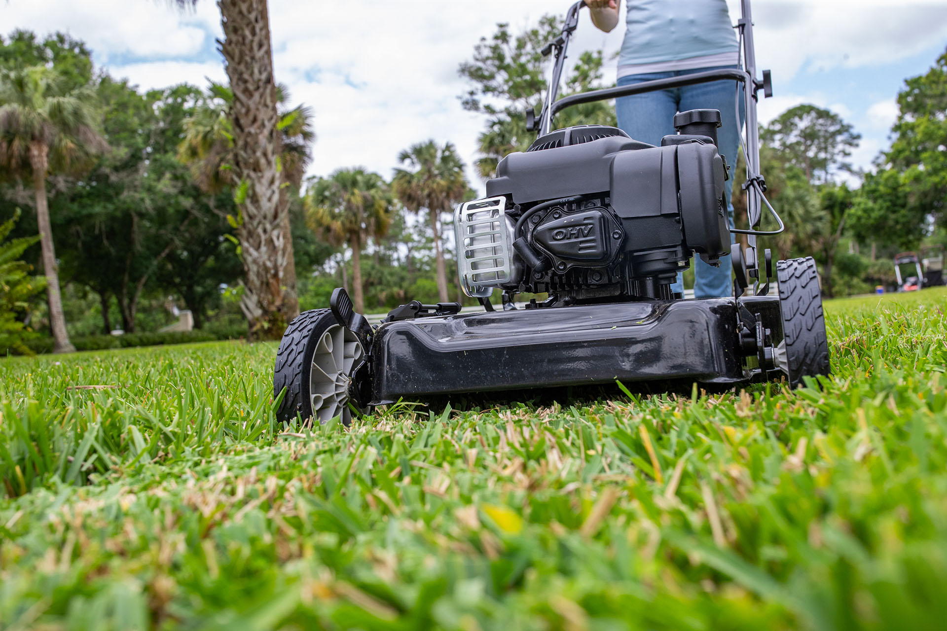Close-up of Murray push lawn mower in use