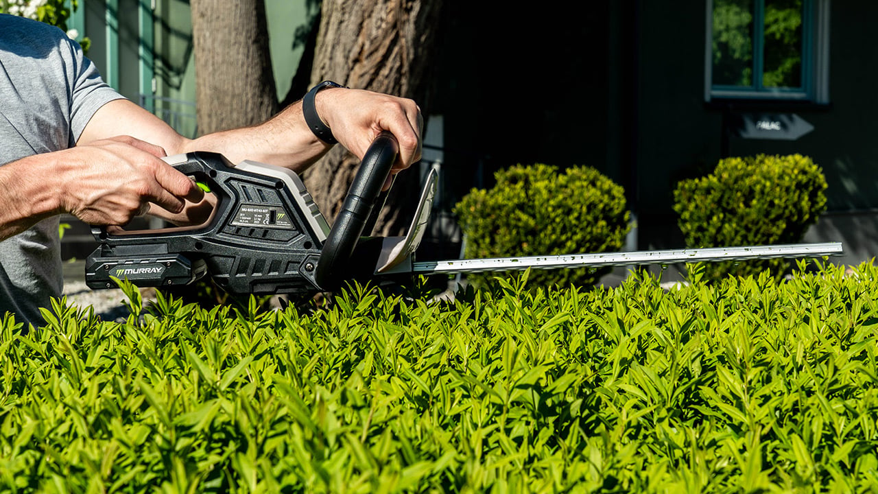 Cuts branches up to 16 millimetres